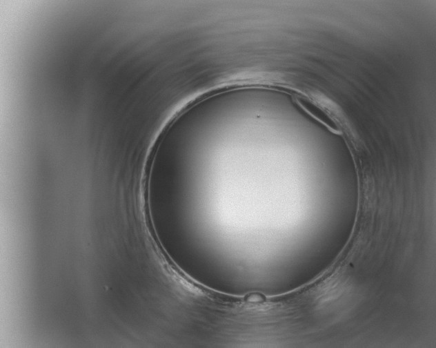 X0000064051288200602031614