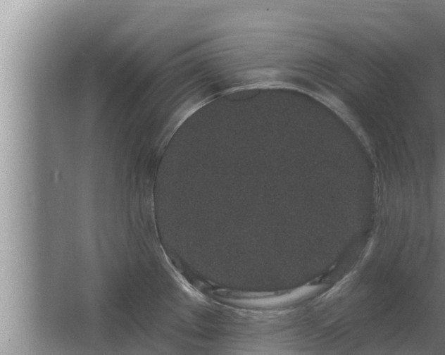 X0000064051289200602031614