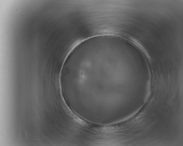 X0000064051291200602031614