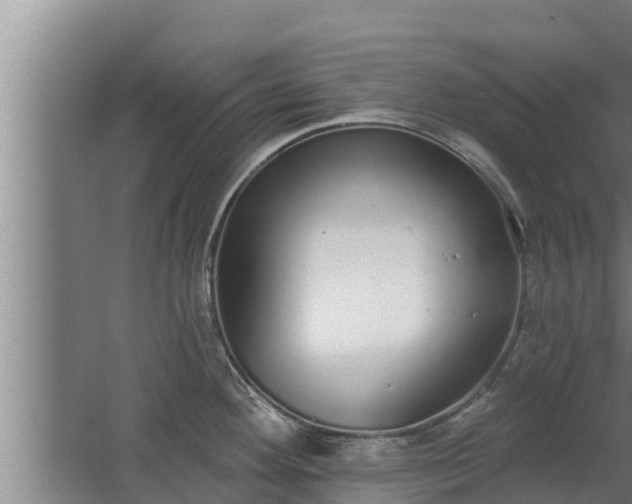 X0000064051292200602031614