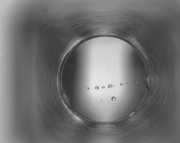 X0000064051293200602031614