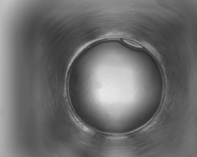 X0000064051296200602031613