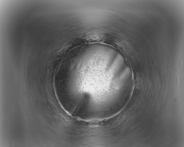 X0000064051297200602031613