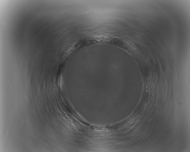 X0000064051298200602031613