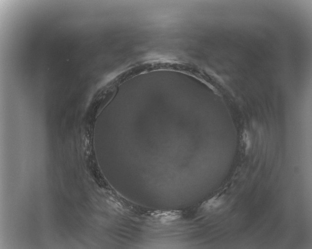 X0000064051303200602031613