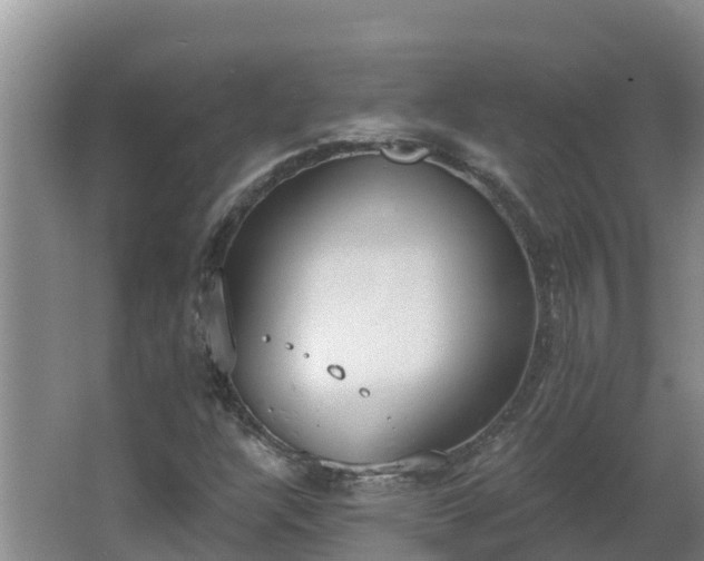 X0000064051304200602031613