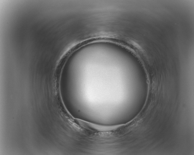 X0000064051310200602031613