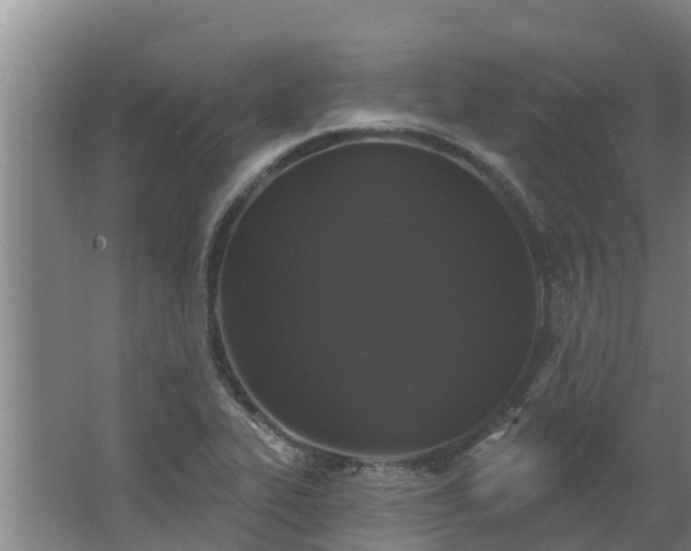 X0000064051319200602031613