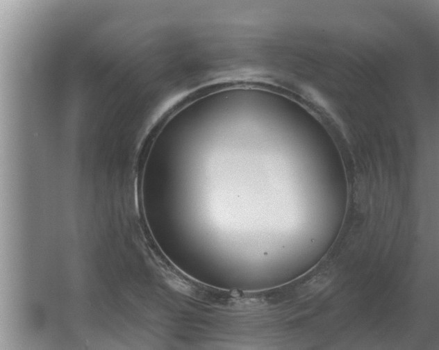 X0000064051320200602031613