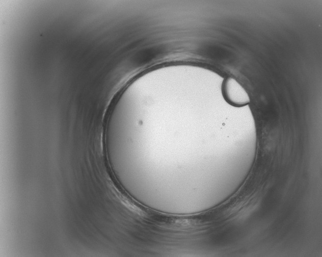 X0000064051322200602031613