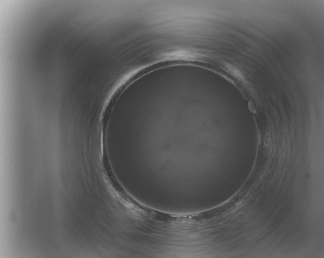 X0000064051323200602031613