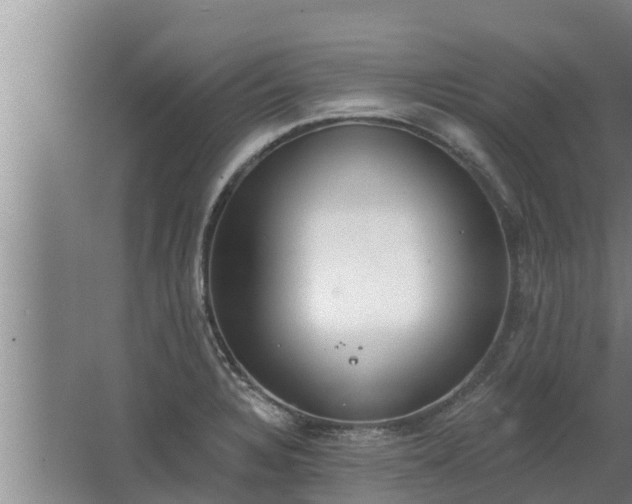 X0000064051328200602031613