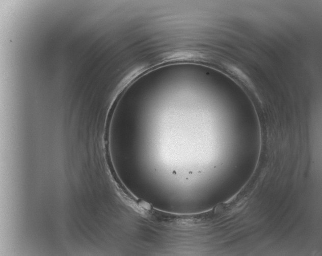 X0000064051330200602031613