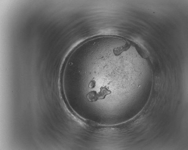 X0000064051331200602031613