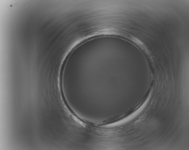 X0000064051334200602031613