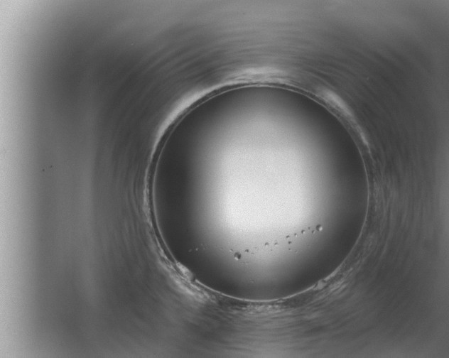 X0000064051336200602031613