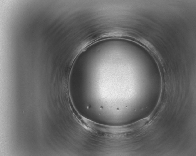 X0000064051337200602031613