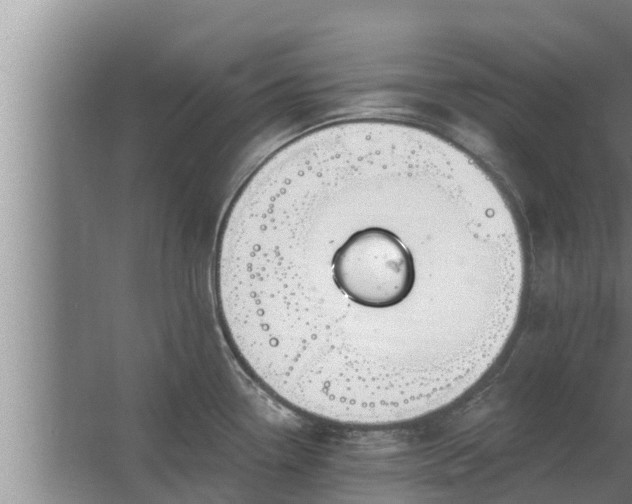 X0000064051338200602031613