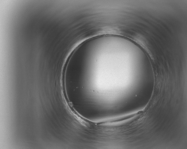 X0000064051339200602031613