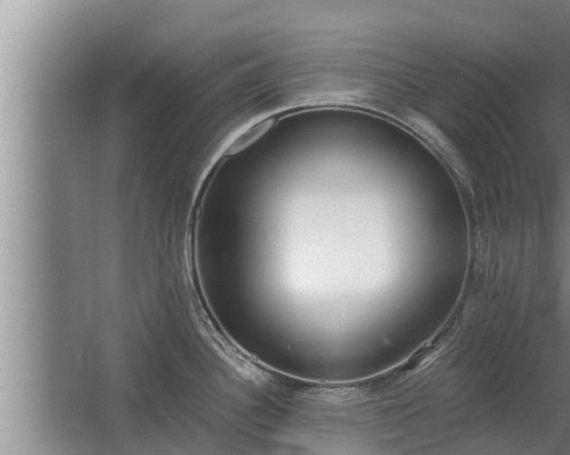 X0000064051340200602031613