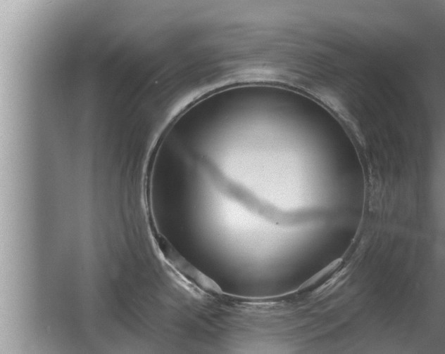 X0000064051342200602031613