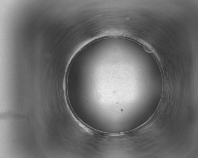 X0000064051343200602031613