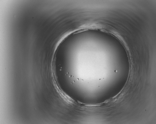 X0000064051344200602031613