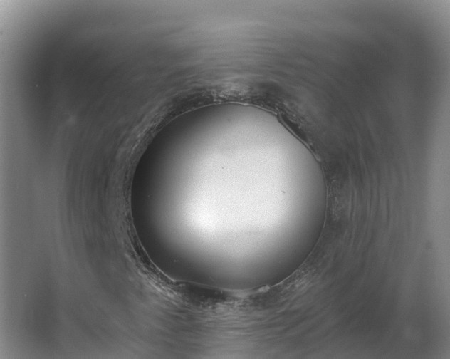 X0000064051345200602031613