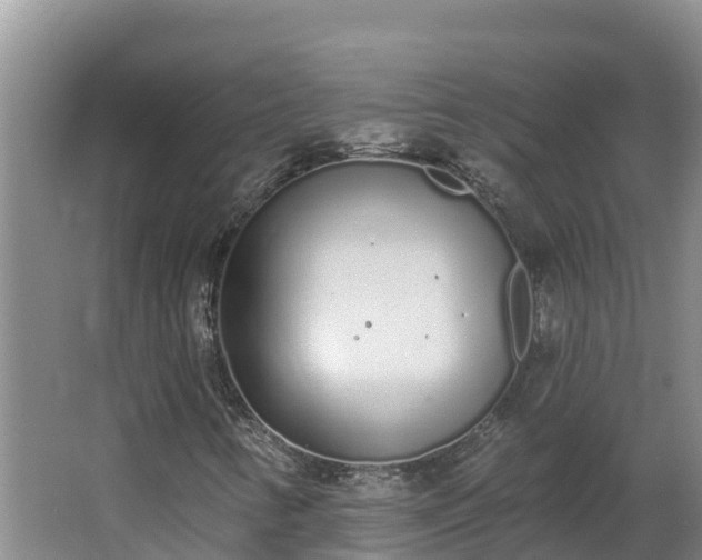 X0000064051346200602031613