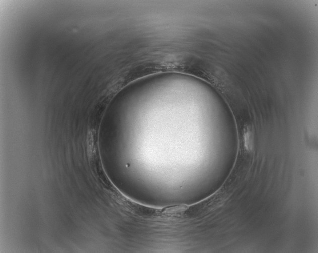 X0000064051347200602031613