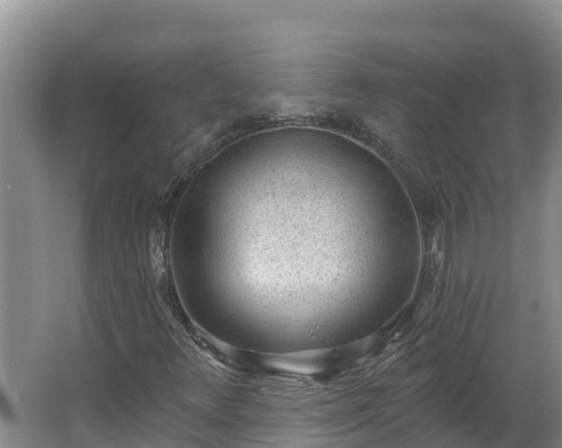 X0000064051348200602031613