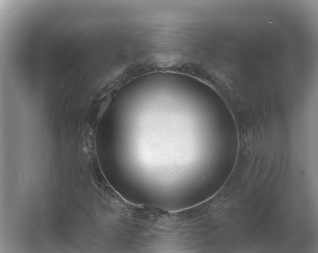 X0000064051349200602031613