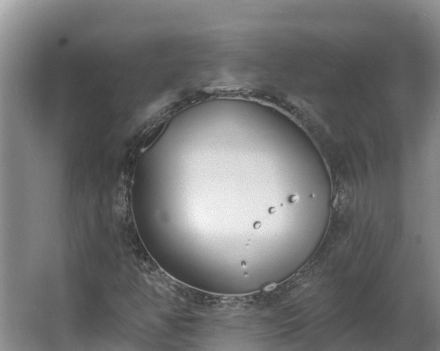 X0000064051350200602031613