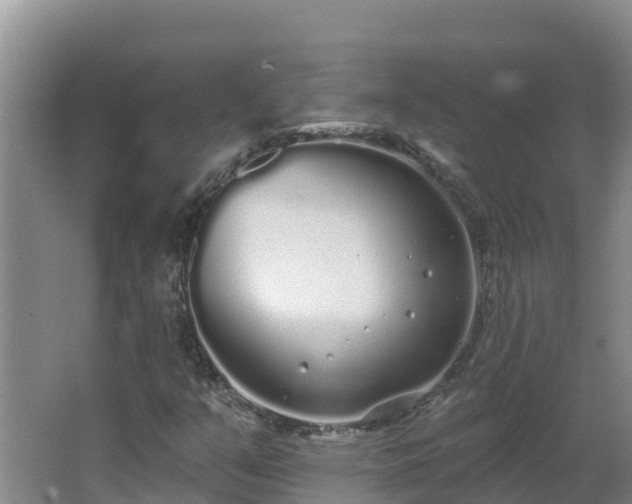 X0000064051351200602031613