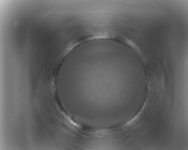 X0000064051353200602031613