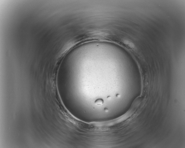 X0000064051354200602031613