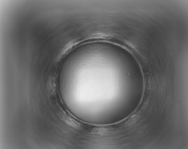 X0000064051355200602031612