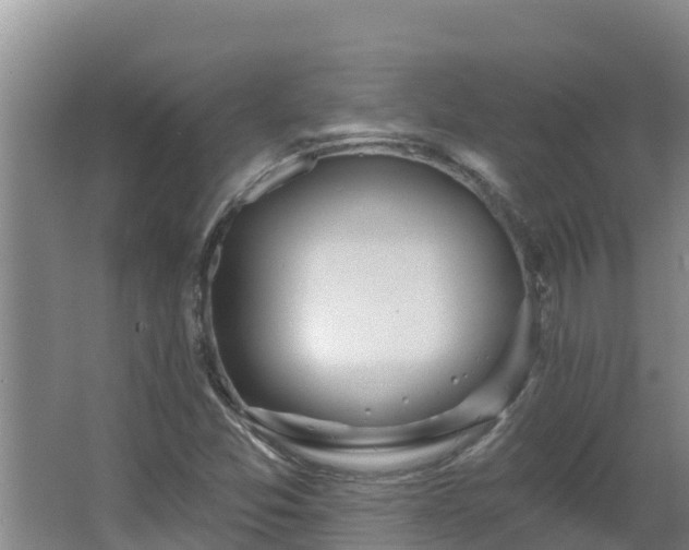 X0000064051357200602031612