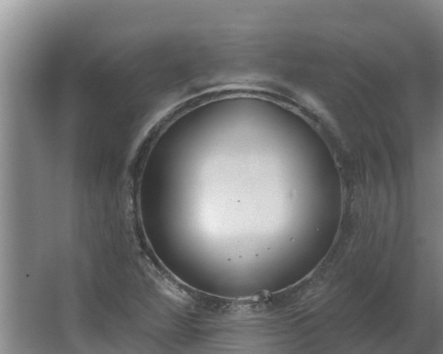 X0000064051360200602031612