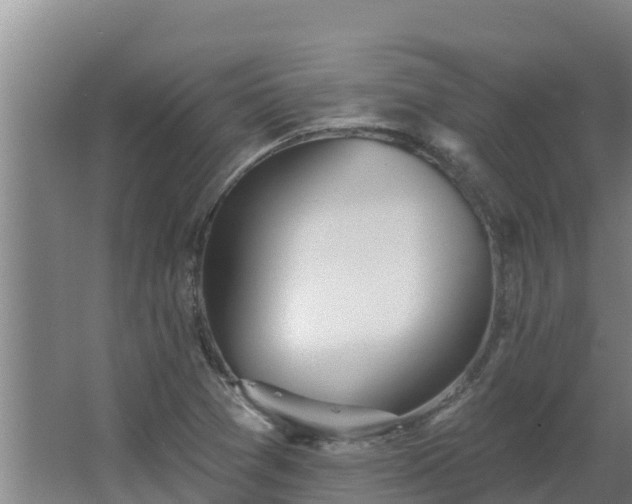 X0000064051361200602031612