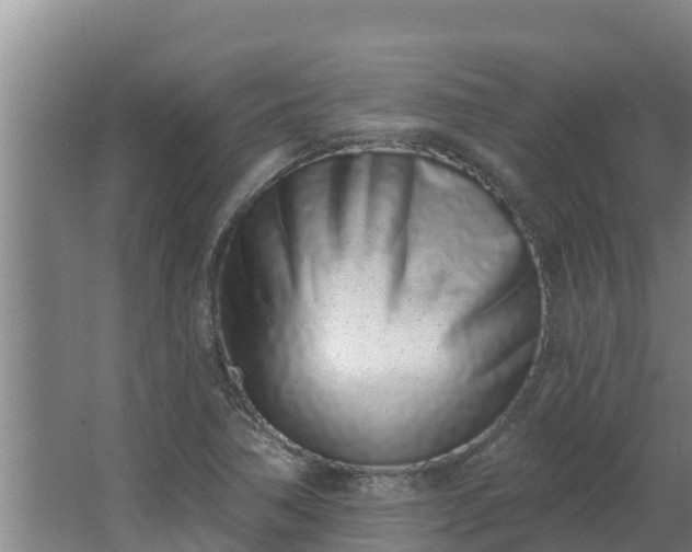 X0000064051362200602031612