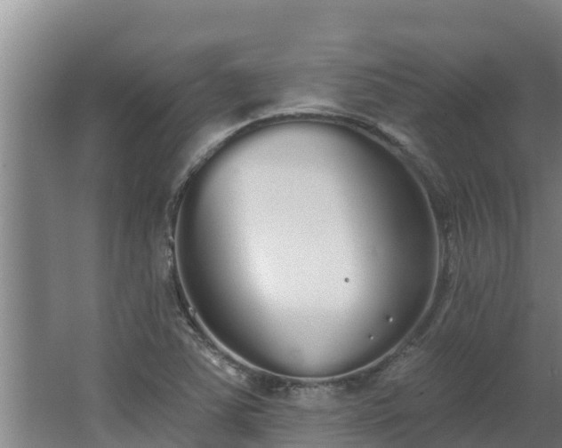 X0000064051363200602031612