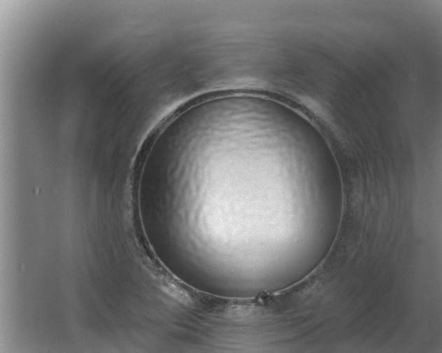 X0000064051364200602031612