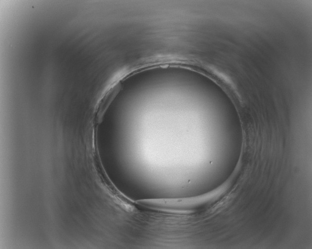 X0000064051365200602031612