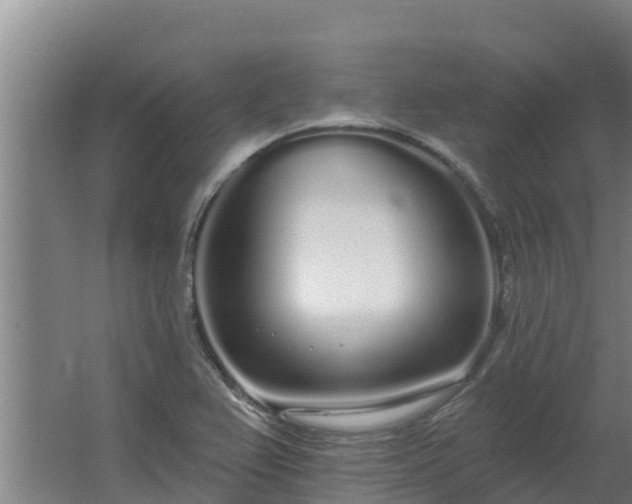 X0000064051367200602031612