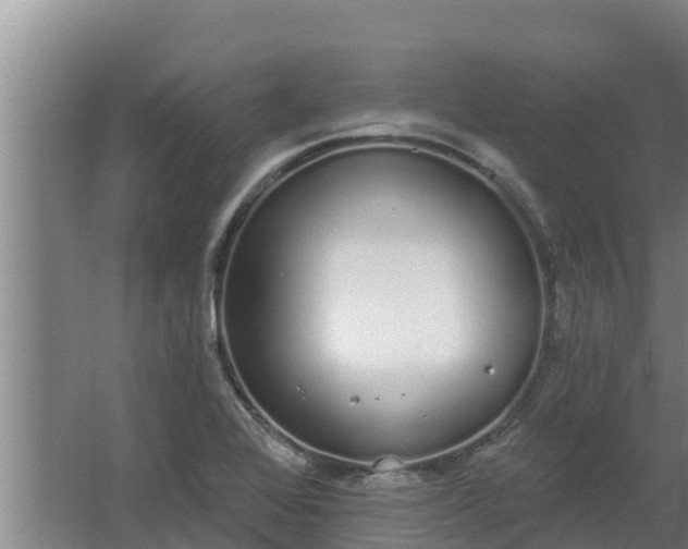 X0000064051368200602031612