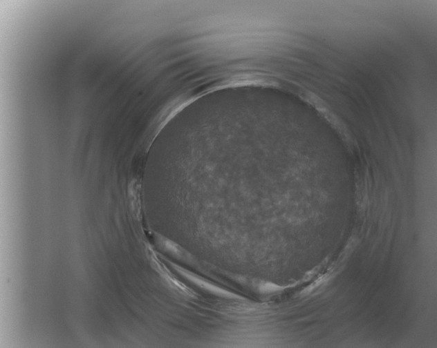 X0000064051369200602031612