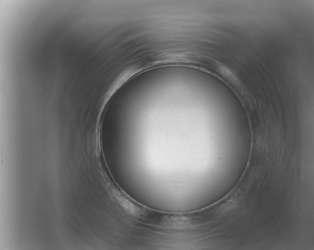 X0000064051370200602031612