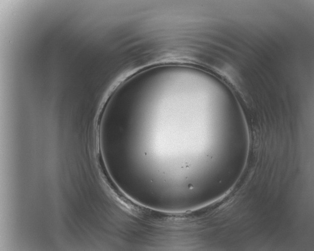 X0000064051371200602031612