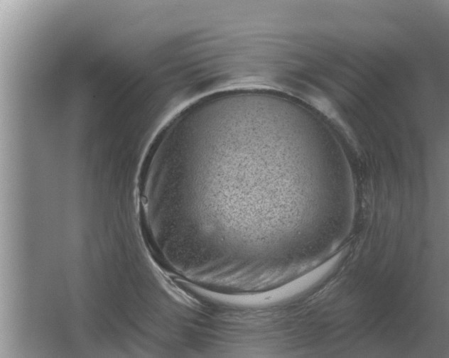 X0000064051372200602031612